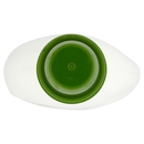 Detergente Lavatrice Green Oasis